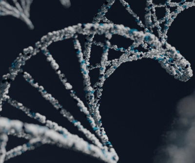 Recently @Retina Latest News