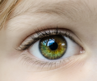 Recently @Retina Latest News